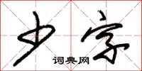 朱锡荣少字草书怎么写
