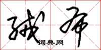 朱锡荣绒布草书怎么写