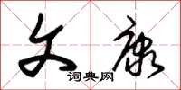 朱锡荣文康草书怎么写