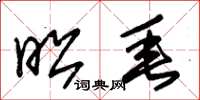 朱锡荣昭垂草书怎么写