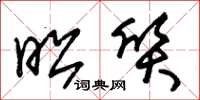 朱锡荣昭质草书怎么写