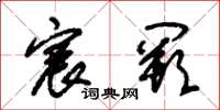 朱锡荣宸阙草书怎么写