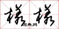 朱锡荣样样草书怎么写