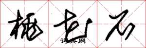 朱锡荣桃花石草书怎么写