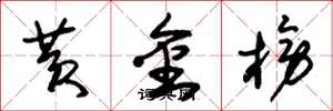 朱锡荣黄金榜草书怎么写