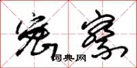 朱锡荣密察草书怎么写