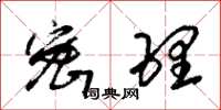 朱锡荣密理草书怎么写