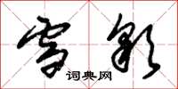 朱锡荣雪彩草书怎么写