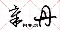 朱锡荣章丹草书怎么写