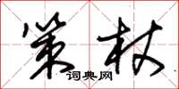 朱锡荣策杖草书怎么写