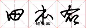 朱锡荣田本命草书怎么写