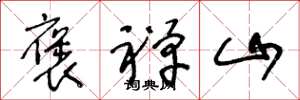 王冬龄褒禅山草书怎么写