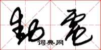 朱锡荣动电草书怎么写