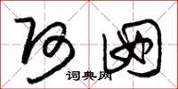 朱锡荣阿囡草书怎么写