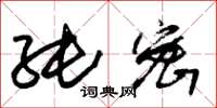 朱锡荣纯密草书怎么写