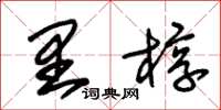 朱锡荣里椁草书怎么写