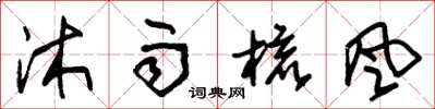 朱锡荣沐雨梳风草书怎么写