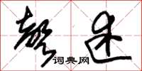 朱锡荣声述草书怎么写