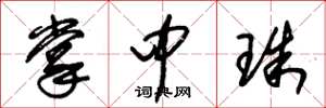 朱锡荣掌中珠草书怎么写