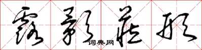 曾庆福露影藏形草书怎么写