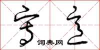 曾庆福写意草书怎么写