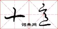 曾庆福十意草书怎么写