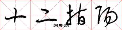 曾庆福十二指阳草书怎么写