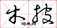 曾庆福木披草书怎么写