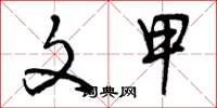 曾庆福文甲草书怎么写