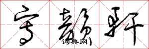 曾庆福写韵轩草书怎么写
