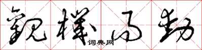 曾庆福观机而动草书怎么写