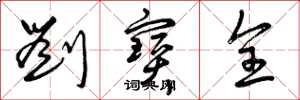 曾庆福刘宝全草书怎么写