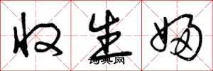 曾庆福收生妇草书怎么写