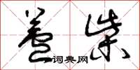 曾庆福芦柴草书怎么写