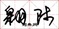朱锡荣翱师草书怎么写