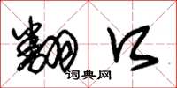 朱锡荣翻口草书怎么写