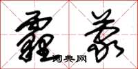 朱锡荣霾蒙草书怎么写
