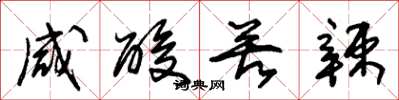 朱锡荣咸酸苦辣草书怎么写