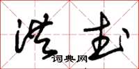 朱锡荣洪武草书怎么写
