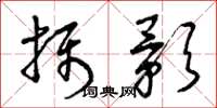 曾庆福摄影草书怎么写
