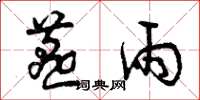 曾庆福燕雨草书怎么写