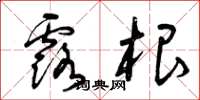 曾庆福露根草书怎么写
