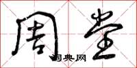 曾庆福周堂草书怎么写