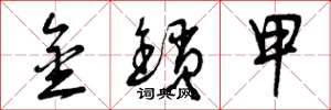 曾庆福金锁甲草书怎么写