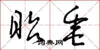 曾庆福昭垂草书怎么写