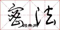 曾庆福密法草书怎么写