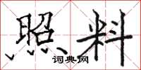 骆恒光照料楷书怎么写