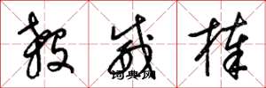 梁锦英杀威棒草书怎么写