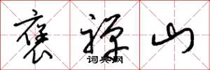 梁锦英褒禅山草书怎么写