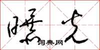 梁锦英曝光草书怎么写